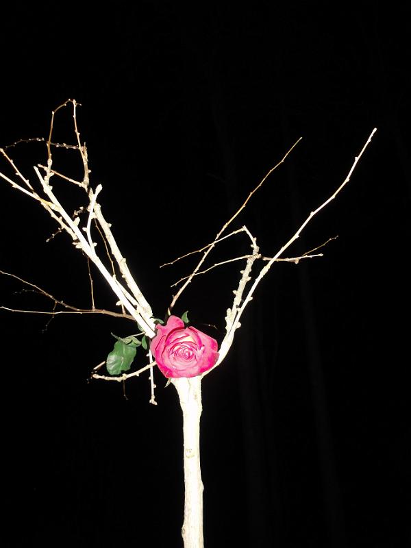 2011 02 09 A